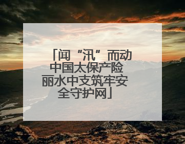 闻“汛”而动 中国太保产险丽水中支筑牢安全守护网