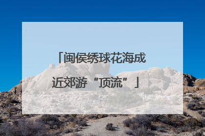 闽侯绣球花海成近郊游“顶流”
