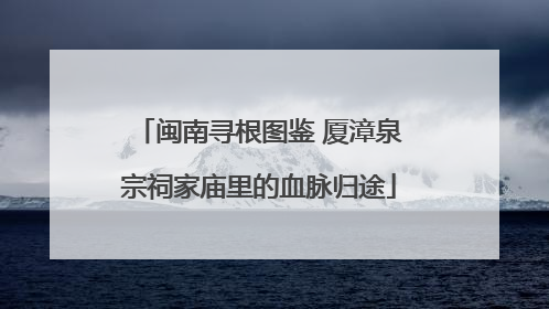 闽南寻根图鉴 厦漳泉宗祠家庙里的血脉归途