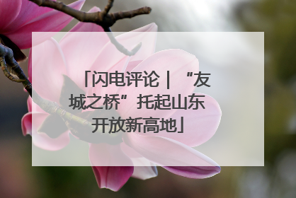 闪电评论｜“友城之桥”托起山东开放新高地