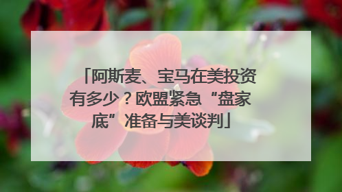 阿斯麦、宝马在美投资有多少？欧盟紧急“盘家底”准备与美谈判