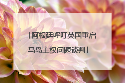 阿根廷呼吁英国重启马岛主权问题谈判