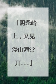 阴条岭上，又见漫山海棠开……