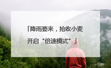 降雨要来，抢收小麦开启“倍速模式”