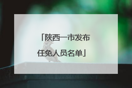 陕西一市发布任免人员名单
