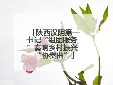 陕西汉阴第一书记“组团服务”奏响乡村振兴“协奏曲”