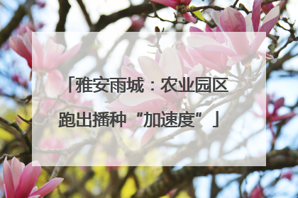雅安雨城：农业园区跑出播种“加速度”