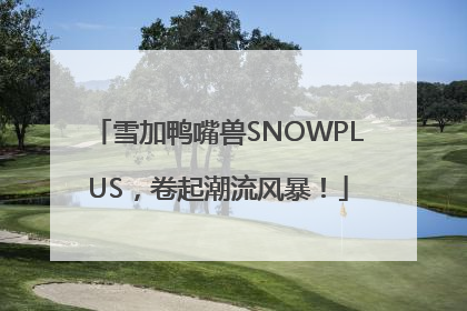 雪加鸭嘴兽SNOWPLUS，卷起潮流风暴！