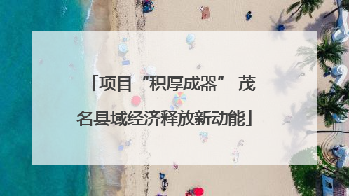 项目“积厚成器” 茂名县域经济释放新动能