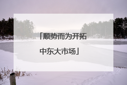 顺势而为开拓中东大市场