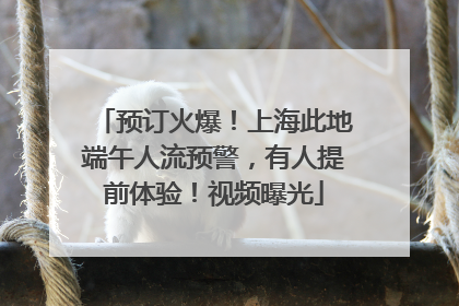预订火爆！上海此地端午人流预警，有人提前体验！视频曝光