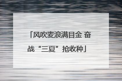 风吹麦浪满目金 奋战“三夏”抢收种