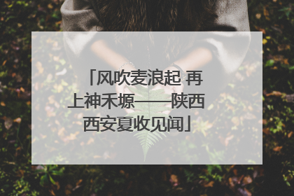 风吹麦浪起 再上神禾塬——陕西西安夏收见闻