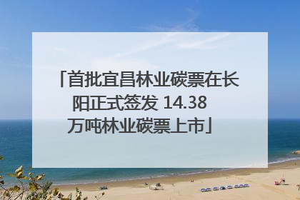 首批宜昌林业碳票在长阳正式签发 14.38万吨林业碳票上市