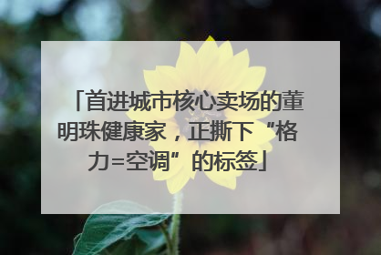 首进城市核心卖场的董明珠健康家，正撕下“格力=空调”的标签