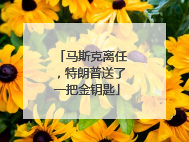 马斯克离任，特朗普送了一把金钥匙