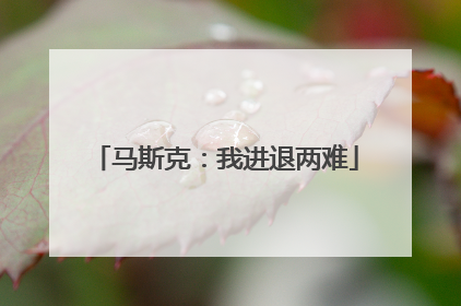马斯克：我进退两难