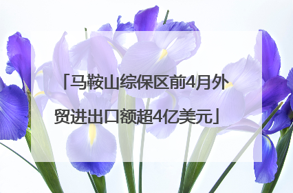 马鞍山综保区前4月外贸进出口额超4亿美元