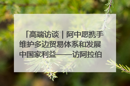 高端访谈｜阿中愿携手维护多边贸易体系和发展中国家利益——访阿拉伯议会议长亚马希