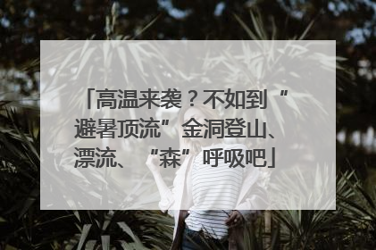 高温来袭？不如到“避暑顶流”金洞登山、漂流、“森”呼吸吧