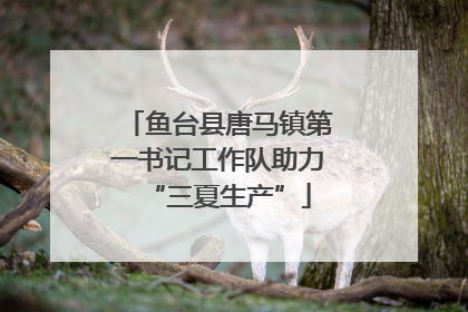 鱼台县唐马镇第一书记工作队助力“三夏生产”