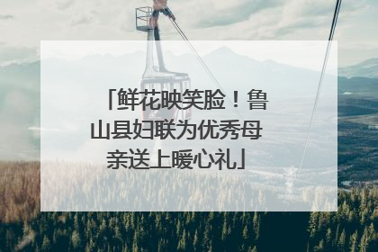 鲜花映笑脸！鲁山县妇联为优秀母亲送上暖心礼