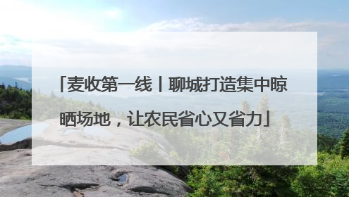 麦收第一线丨聊城打造集中晾晒场地，让农民省心又省力