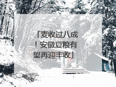 麦收过八成！安徽夏粮有望再迎丰收