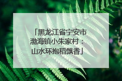 黑龙江省宁安市渤海镇小朱家村：山水环抱稻飘香
