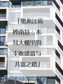 黑龙江省桦南县：木耳大棚里的丰收盛景与共富之路