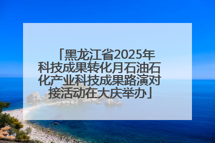 黑龙江省2025年科技成果转化月石油石化产业科技成果路演对接活动在大庆举办