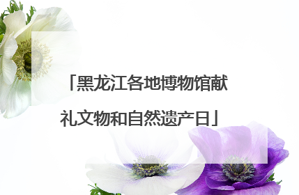 黑龙江各地博物馆献礼文物和自然遗产日