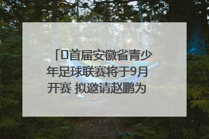 ﻿首届安徽省青少年足球联赛将于9月开赛 拟邀请赵鹏为先导赛开球