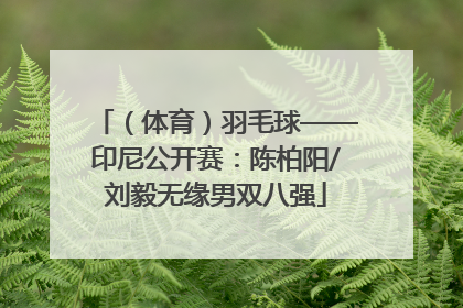 （体育）羽毛球——印尼公开赛：陈柏阳/刘毅无缘男双八强