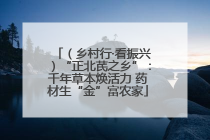 （乡村行·看振兴）“正北芪之乡”：千年草本焕活力 药材生“金”富农家