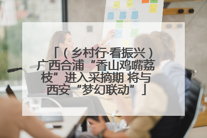 （乡村行·看振兴）广西合浦“香山鸡嘴荔枝”进入采摘期 将与西安“梦幻联动”
