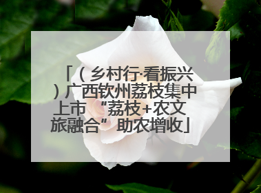 （乡村行·看振兴）广西钦州荔枝集中上市 “荔枝+农文旅融合”助农增收