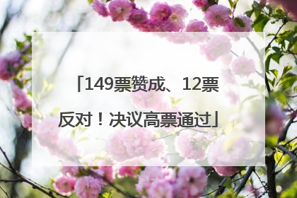 149票赞成、12票反对！决议高票通过