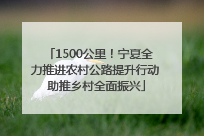 1500公里！宁夏全力推进农村公路提升行动 助推乡村全面振兴