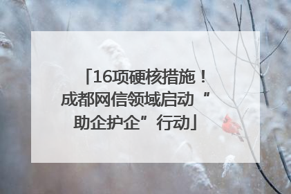 16项硬核措施！成都网信领域启动“助企护企”行动