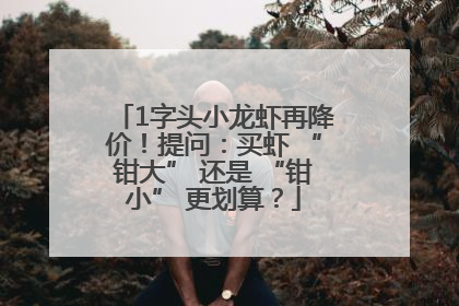 1字头小龙虾再降价！提问：买虾 “钳大” 还是 “钳小” 更划算？