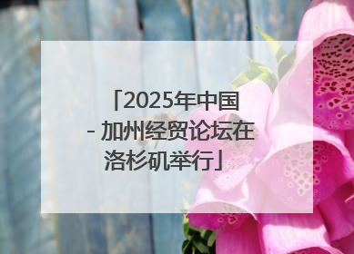 2025年中国－加州经贸论坛在洛杉矶举行