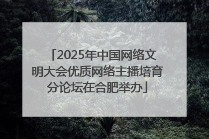 2025年中国网络文明大会优质网络主播培育分论坛在合肥举办