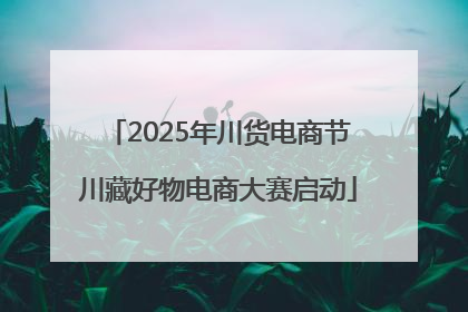 2025年川货电商节川藏好物电商大赛启动