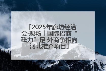 2025年廊坊经洽会·现场丨国际招商“磁力”足 外商争相向河北推介项目