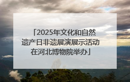 2025年文化和自然遗产日非遗展演展示活动在河北博物院举办