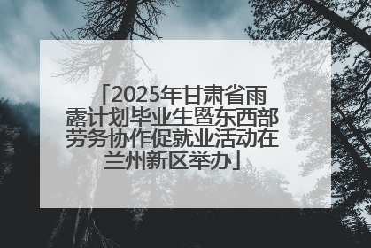 2025年甘肃省雨露计划毕业生暨东西部劳务协作促就业活动在兰州新区举办