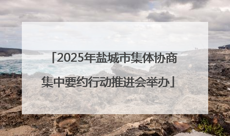 2025年盐城市集体协商集中要约行动推进会举办