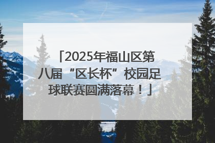 2025年福山区第八届“区长杯”校园足球联赛圆满落幕！