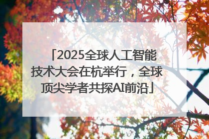 2025全球人工智能技术大会在杭举行，全球顶尖学者共探AI前沿